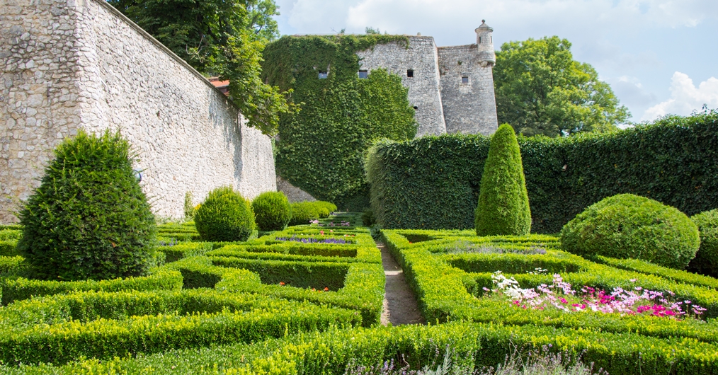 Zdjęcie przedstawia zielony ogród zamkowy. Pod jasnoszarymi murami rozciąga się przystrzyżony bukszpan oraz krzewy.