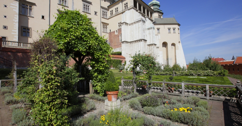 kwitnący ogród królewski, altana porośnięta pnączem, w tle ściana zamku