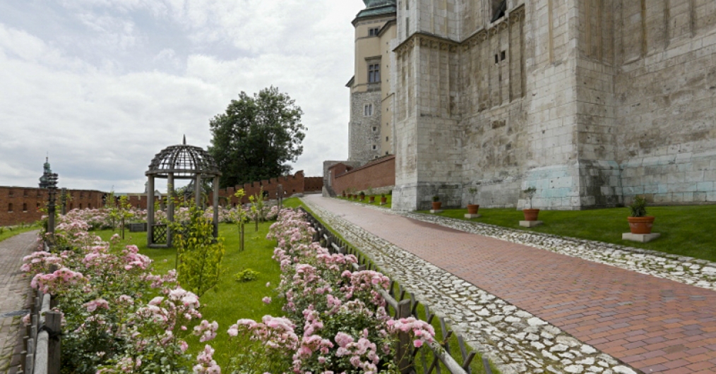 Zdjęcie przedstawia kamienną ścieżkę przy murach Zamku. Po jednej stronie widać mury Wawelu, a po drugiej fragment ogrodów, w których kwitną różowe kwiaty. Na trawniku stoi także kopulista altanka.