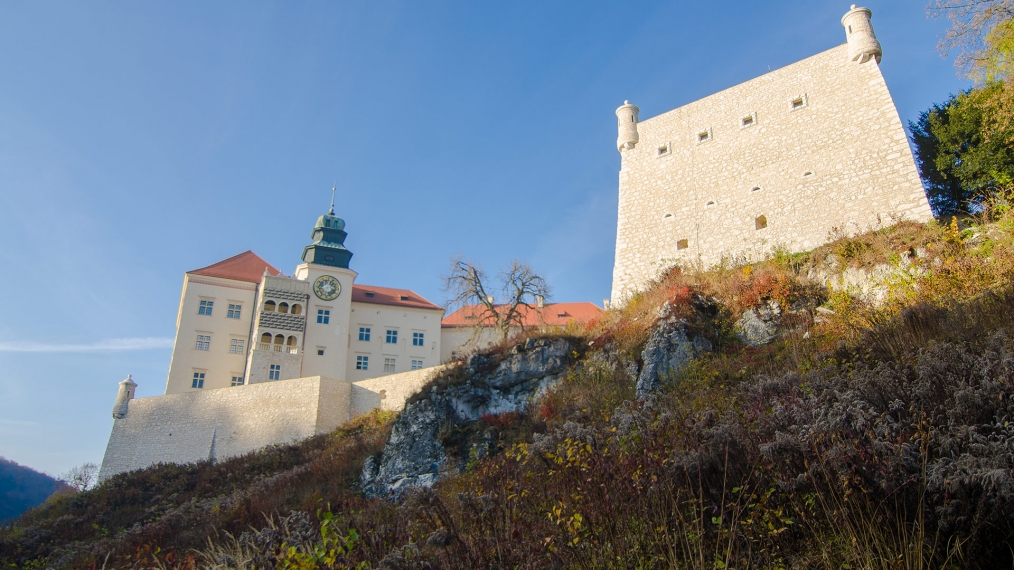 Zamek w Pieskowej Skale od podnóża skały.