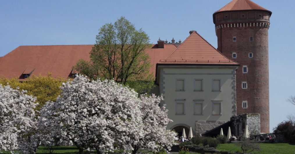 fragment zabytkowego budynku, z lewej strony ceglana baszta nakryta spadzistym dachem, przed budynkiem duża kwitnąca magnolia