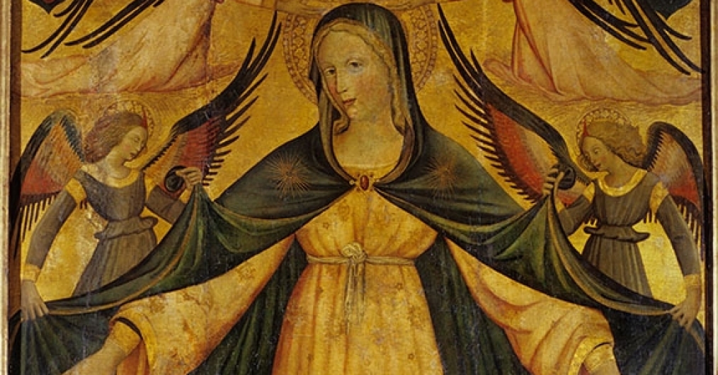 Obraz przedstawia Maryję w niebieskiej pelerynie, stojącą w centralnej części obrazu. Nad nią latają aniołowie, którzy podtrzymują jej szatę i koronują ją. Maryja w opiekuńczym geście rozpościera ręce nad tłumem ludzi stojącym u jej stóp.