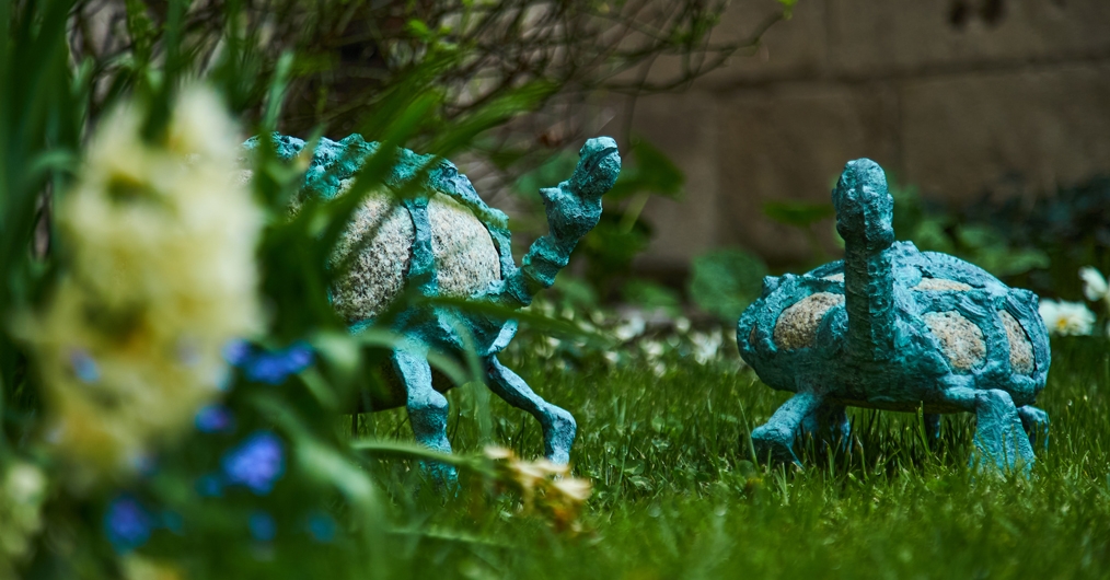 ogród, zza roślin wyglądają stylizowane rzeźby dwóch żółwi - połączenie metalu i kamienia