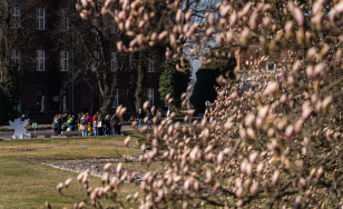 Grupa dzieci na tle ceglanego budynku, z przodu kwitnąca magnolia.