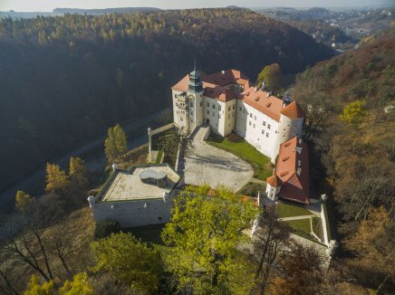widok z lotu ptaka na zamek, położony malowniczo w dolinie otoczonej lasami